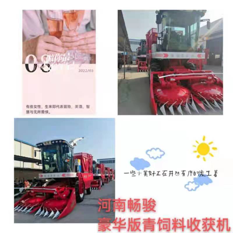 往后余生，不憑借誰的光，不辜負生活，不迷失方向，知足且上進，溫柔且堅定！ 2022，女神節(jié)快樂?。?！