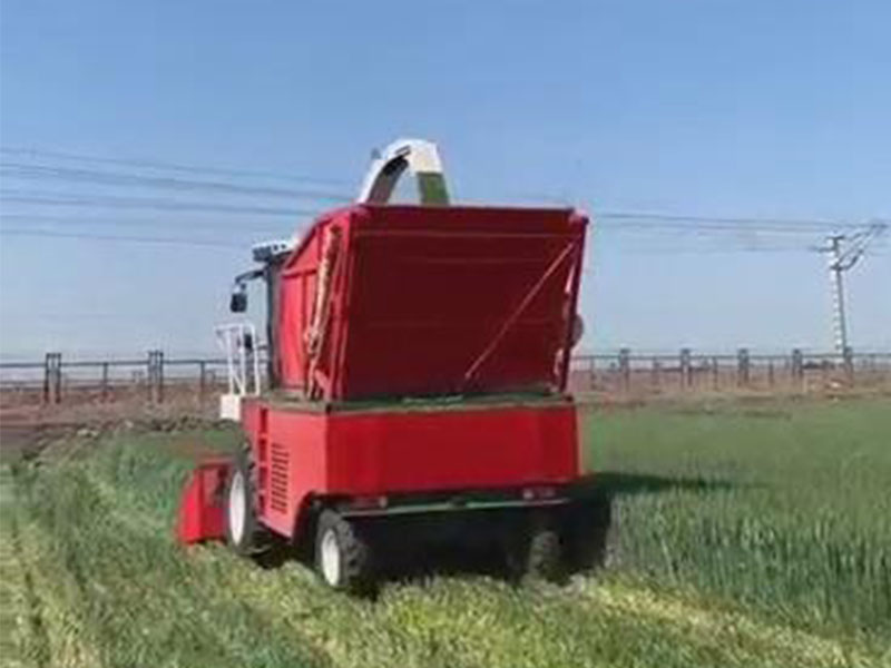 輪式豪華版收割小麥視頻