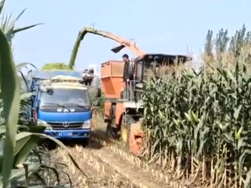 輪式升級版·2個出料口遙控切換-收割玉米跟車作業(yè)